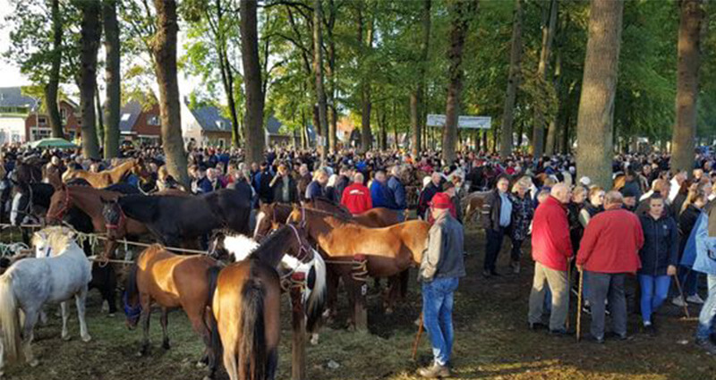 zuidlaardermarkt-header