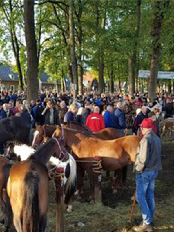 zuidlaardermarkt-markt